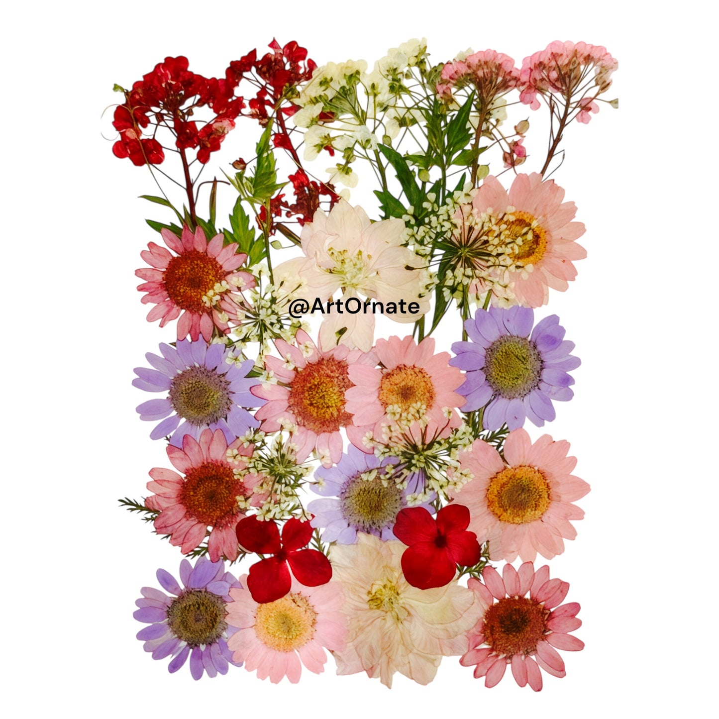 Vibrant real flowers for resin tray, bookmark, and jar candle art in India
