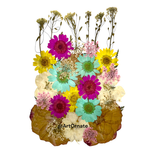 Assorted natural pressed petals for DIY resin crafts and candle decor